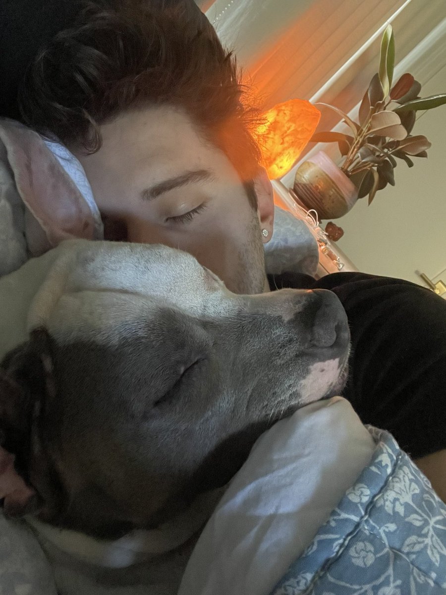 Les ha sacado una foto al verlos, porque se ha enamorado bastante.