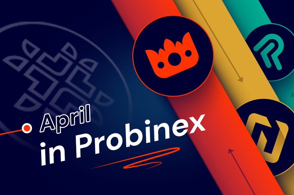 @cryptojack I would never sell $PBX 🌐 #Probinex  🚀
@Probinex1  always grinding and representing the community with any chance they got . Go check em out. $PBX
And don't miss the #Earnio to gain more profit💰
#cryptomarket #cryptocurrencies #1000xgem #BTC