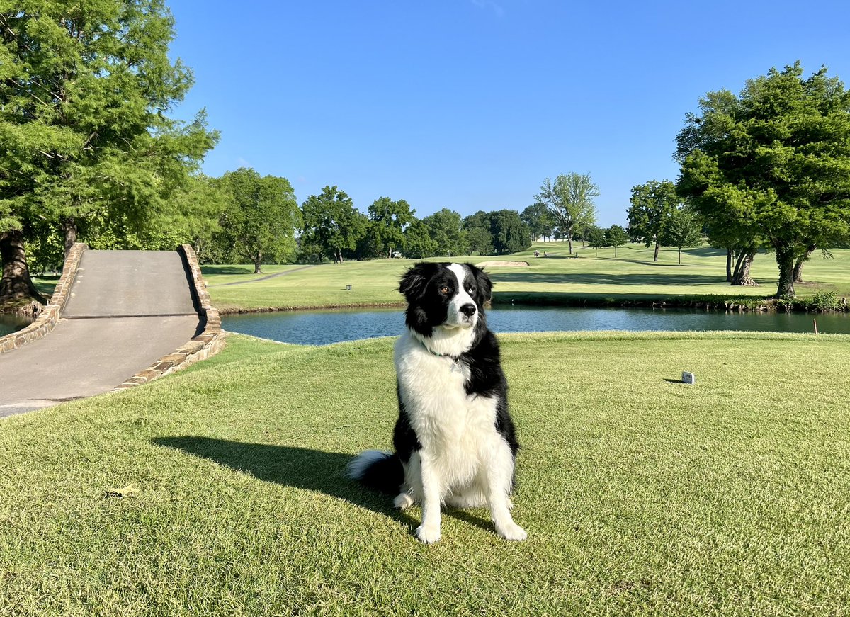 Beautiful morning for day 1 of the @WomenAllProTour !! Dutch would like to wish the ladies good luck!! @DogsOfTurf