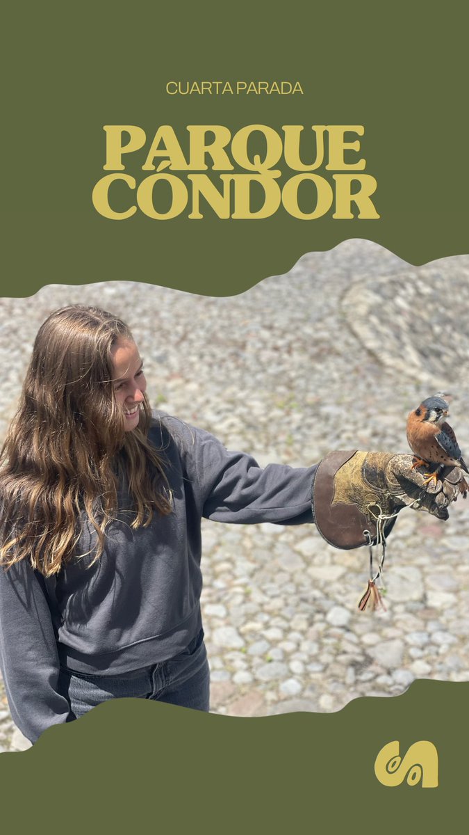 This is Ecuador tweet media