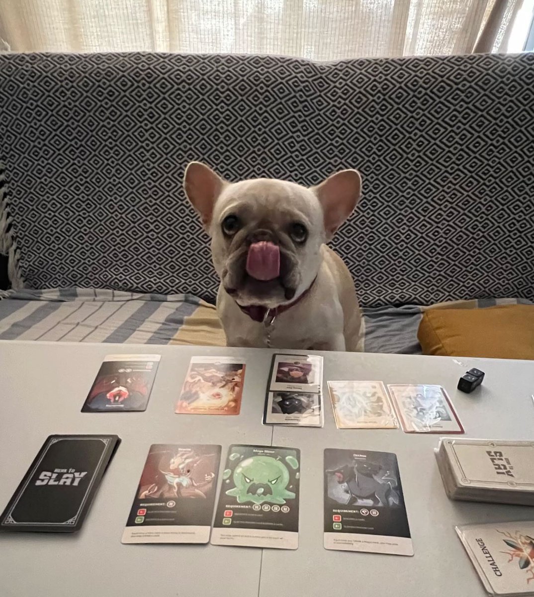 We all know who won 🐶
📸: @adrian9504
🎲: Here To Slay

unstablegames.com/collections/he…
____________________
#unstablegames #heretoslay #boardgamegeek #bgg #tabletopgames #gamenight #boardgames #dogs #cute