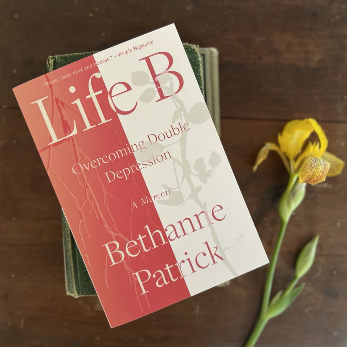 Happy paperback day to Bethanne Patrick! Life B: Overcoming Double Depression is out in a new edition now! Recognizing the intergenerational effects of trauma and mental health struggles, Patrick unearths the stories of her past in order to forge a better future for herself and