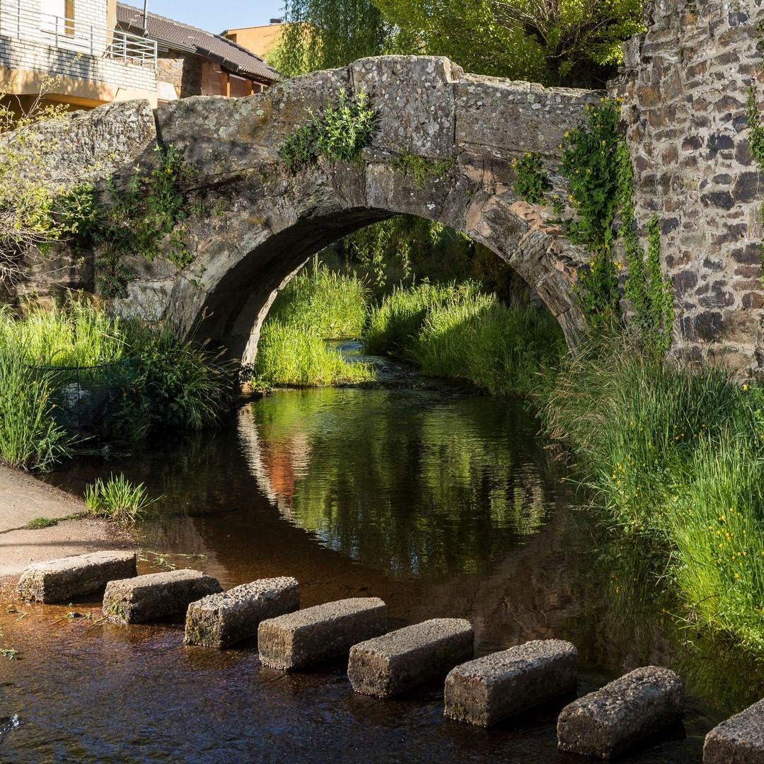 Hoy nos adentramos en #Aliste y #Tábara para conocer algunos de los parajes y lugares más bonitos de estos lares.

📸 En imágenes:
1. Tábara
2. Santa Cruz de los Cuerragos
3. Centro del Lobo, Robledo
4. Rio Manzanas

#zamora #zamoraenamora #naturaleza #turismo #turismorural