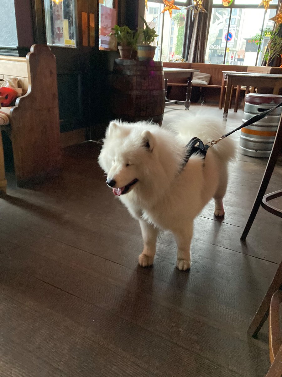 Mia Berelson (@miaberelson) on Twitter photo Learning all about the dinner of tomorrow tonight with lots of fluffy friends #pint24 <a href="/pintofscience/">Pint of Science UK</a> Learning all about the dinner of tomorrow tonight with lots of fluffy friends #pint24 <a href="/pintofscience/">Pint of Science UK</a>