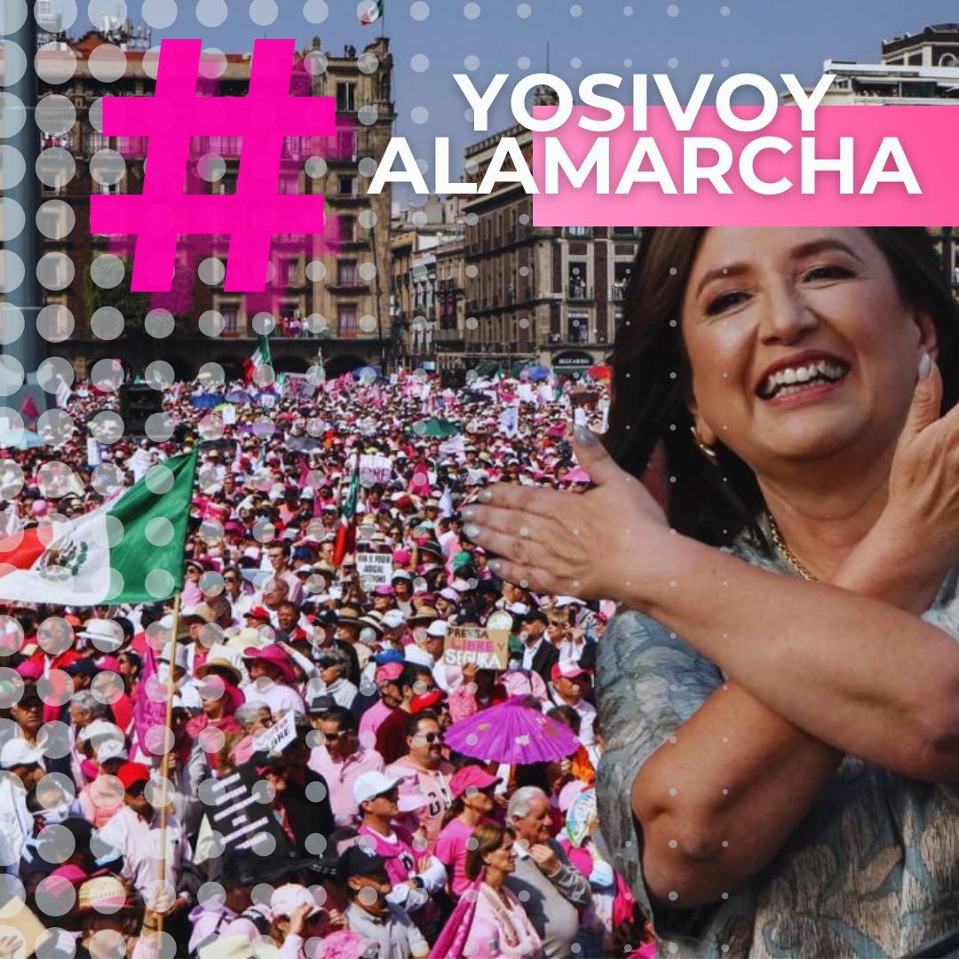 Sociedad Civil México tweet media