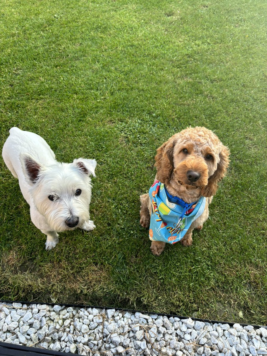 Me and Tigger being super good waiting for some noms 😋