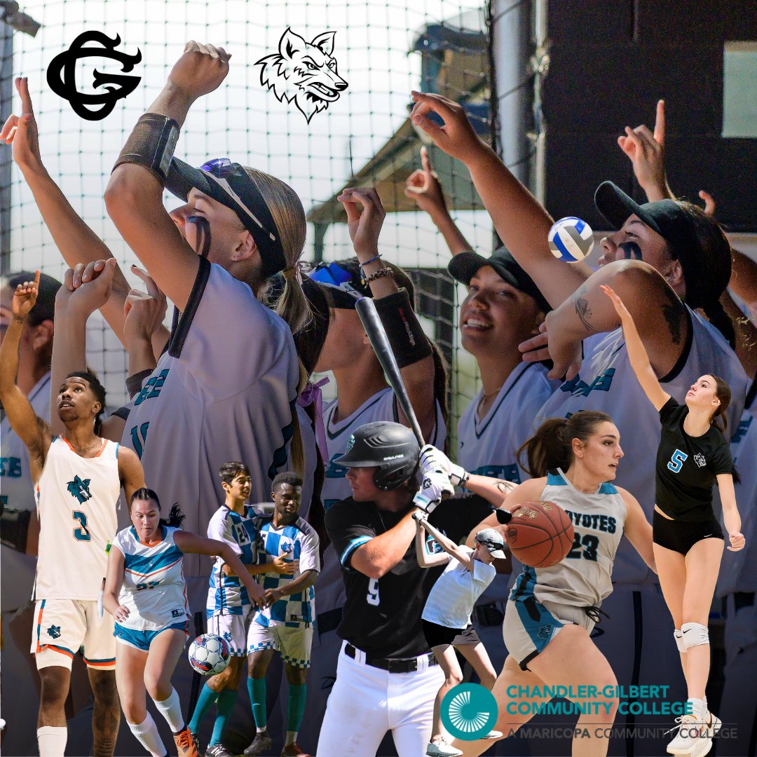 ⚽️🏀⚾️🥎🏐🏌️‍♂️🏌️‍♀️🏋️

What a year!