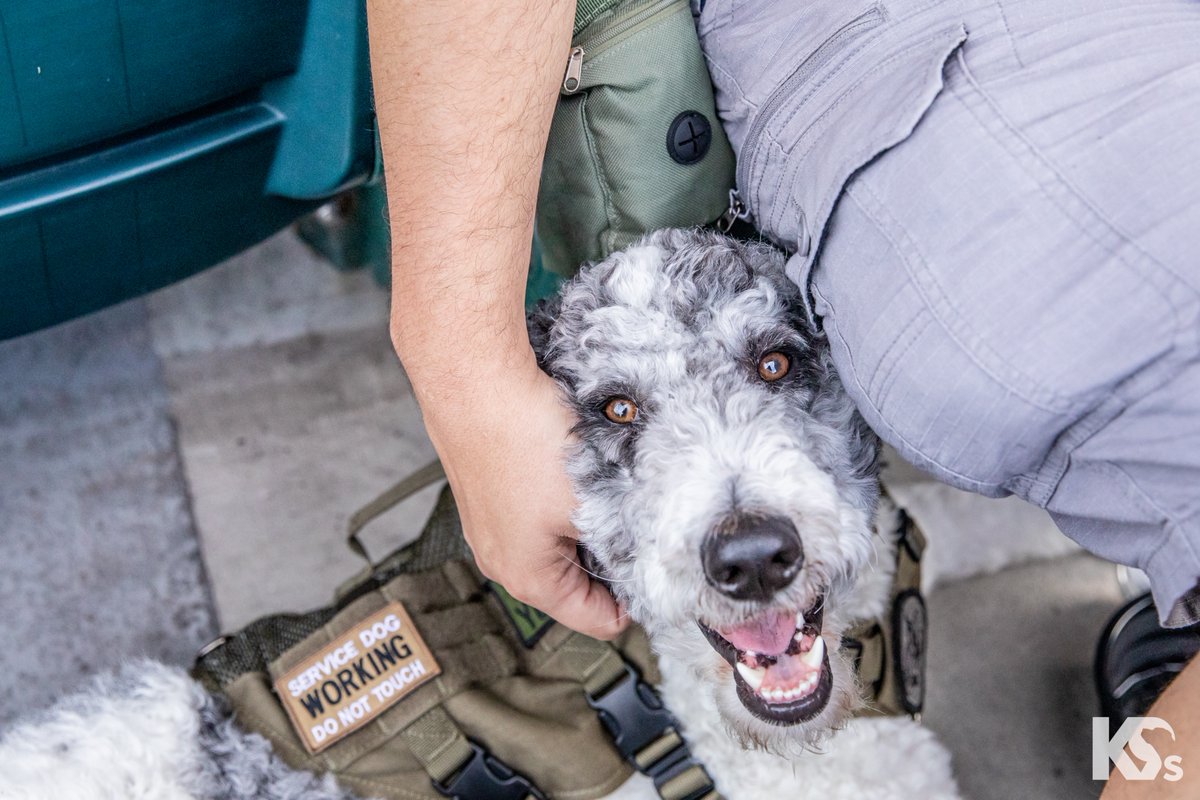 'Monti was custom made for me.' Army #Veteran Donald knew he needed something to help him regain his former happy demeanor. He had become short-tempered, isolated, and rough to be around. Then, a goofy, curly-coated Service Dog named Monti brought him back to life.