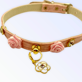 🐶Transform your day into a romance with our enchanting Romantic Day Collars! Perfect for adding a touch of elegance and charm to any outfit. 🌸✨💕

#puppies #puppy #dogsofinstagram #dogs #dog #puppiesofinstagram #puppylove #dogstagram #dogoftheday #doglover #instadog