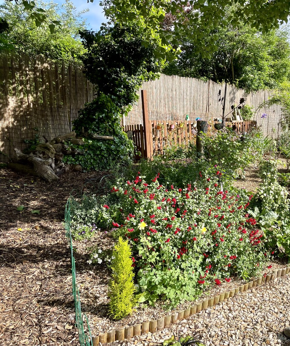 PoplarGrovePPG tweet media