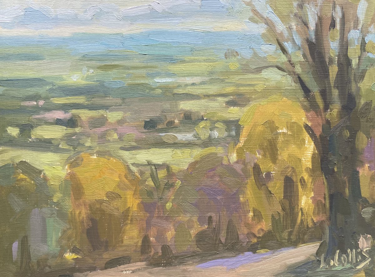 View from Wyche Road Malvern 8”x6” oil on board One of the paintings from my trips to the Malvern Hills this month. #wyche #malvern #malvernhills #malvernhillsphotos #PleinAir #pleinairpainting