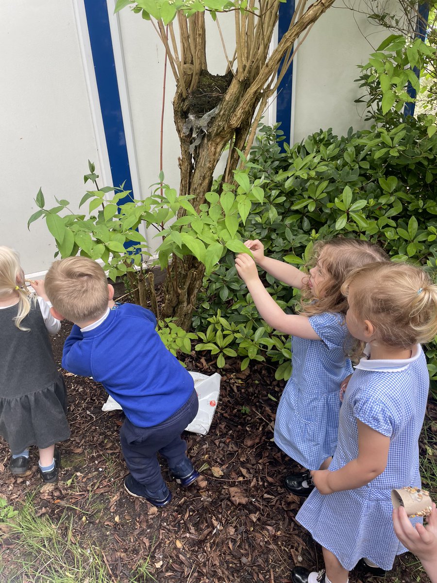 Nursery loved making bird feeders this afternoon as part of their DT learning. We hung them on the tree and can’t wait to watch birds enjoying them. 🐦 🦅 @Shoreside1234 @MrPowerREMAT @MissKnipeREMAT @MrFoleyREMAT