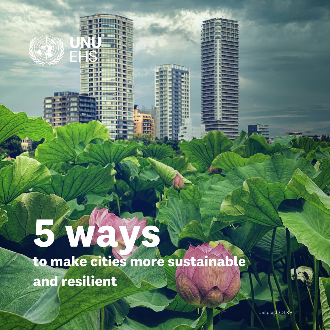 How can cities adapt and thrive in the face of #ClimateChange? 🤔💭🌆💚🌱 @‌UNUEHS shares 5 transformative ways to enhance urban sustainability & resilience. Find out more: ehs.unu.edu/news/news/five…