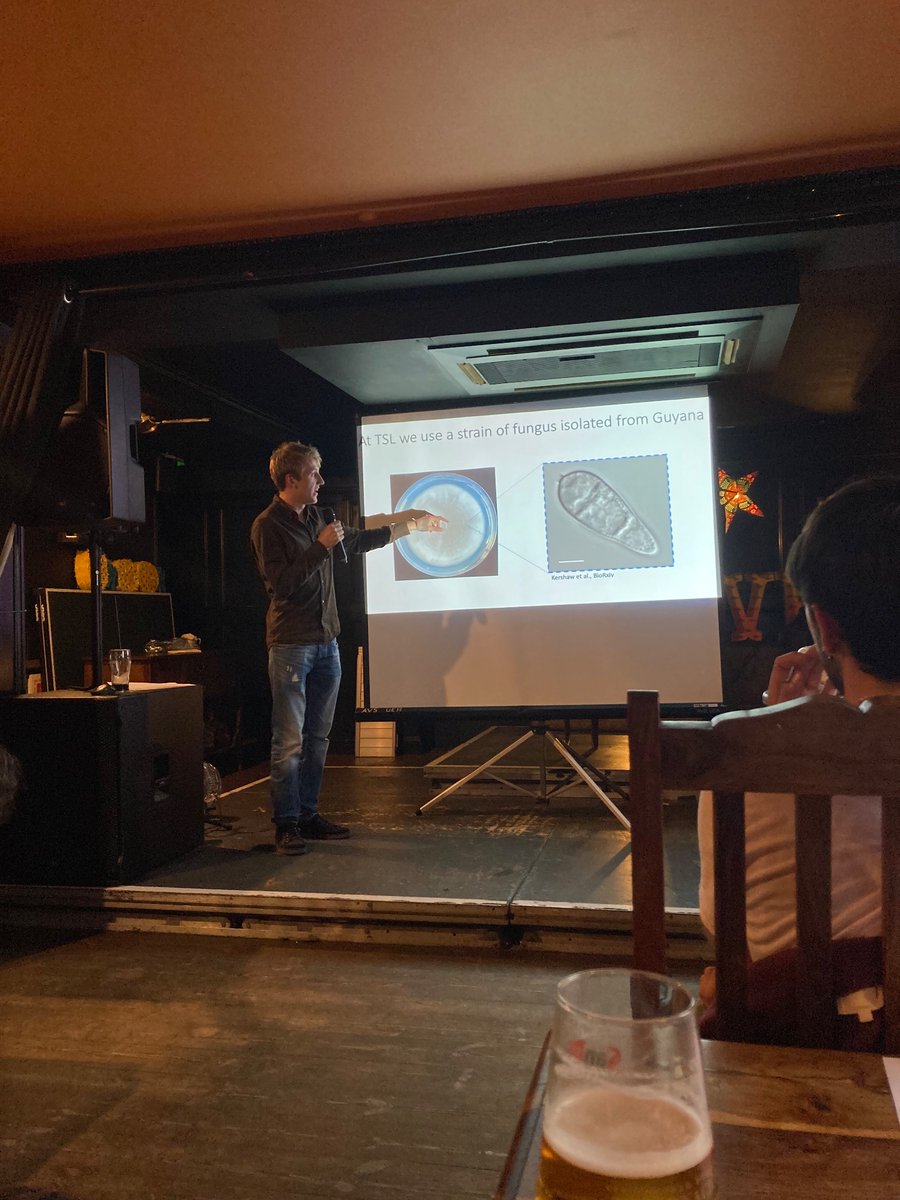 First talk is all about the threat of blast disease to rice and how we can save dinners for the future from Euan Cawston at @TheSainsburyLab 🌾🦠 #pint24