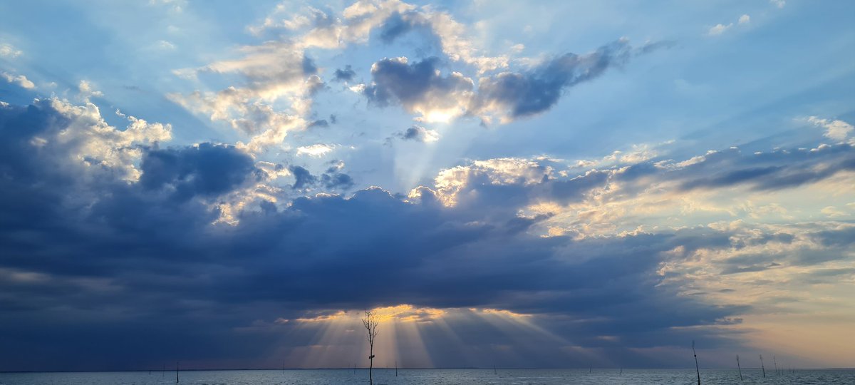 Fisherman's Friend🐟 tweet media