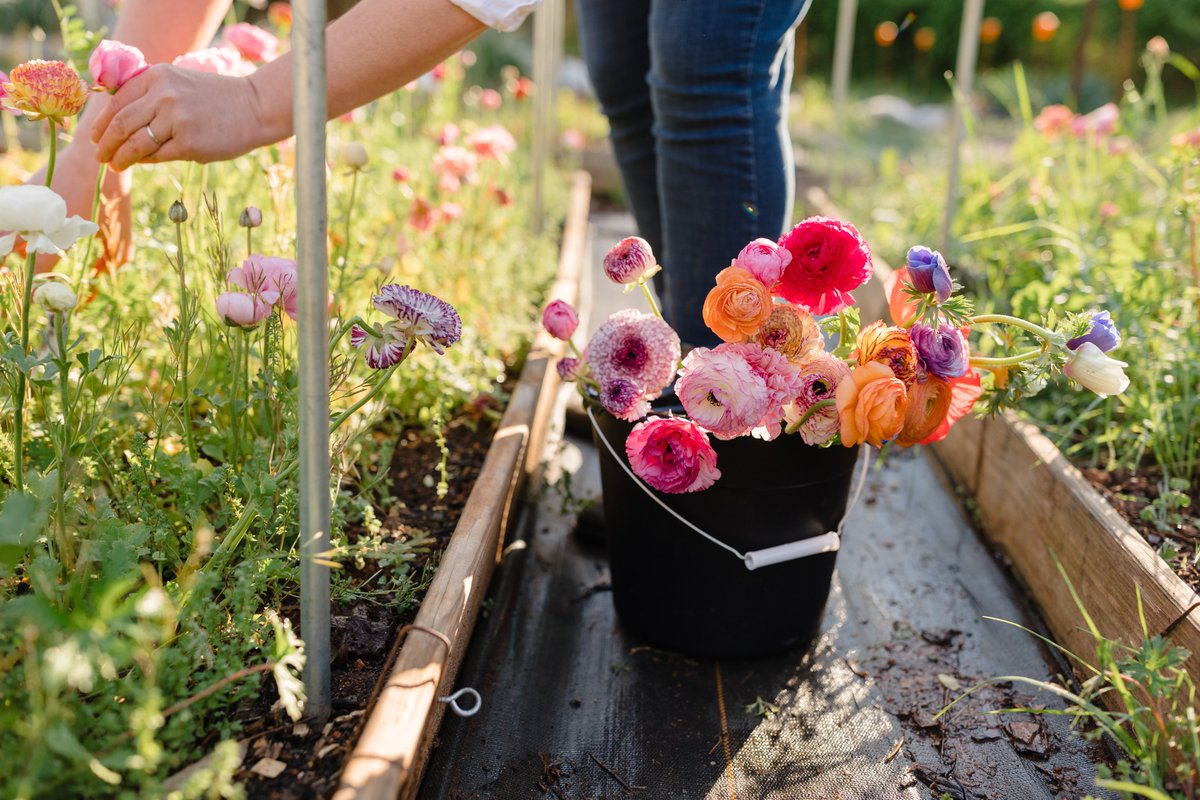 Registration for Building Blocks is officially OPEN. Learn about this training, our latest member success story, and the myriad co-op conferences coming to a town near you in our latest newsletter!
mailchi.mp/dbd86fc133be/b…