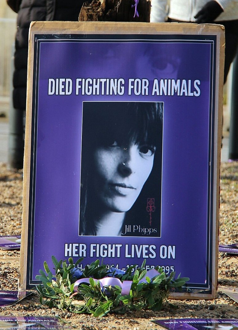 @CharmaineScamm1 On this momentous news of the ban on live exports can we all please remember and give thanks to Jill Phipps who, on 1st February 1995, gave her life desperately trying to stop a lorry full of calves being exported for veal from the UK. Rest easy now Jill 🕊❤️