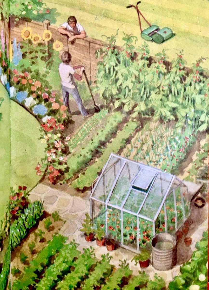 How to be a Ladybird man, part 36. Strive for perfection Artist: Harry Wingfield (Talkabout the Garden, 1976)