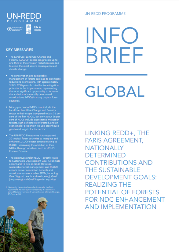 The forest and land-use sector, which offers significant potential for scaling up ambition in NDCs, has unique characteristics that must be carefully considered when integrating REDD+ into NDCs.

Read more on this from our brief: un-redd.org/document-libra…

#SaveForestsNow