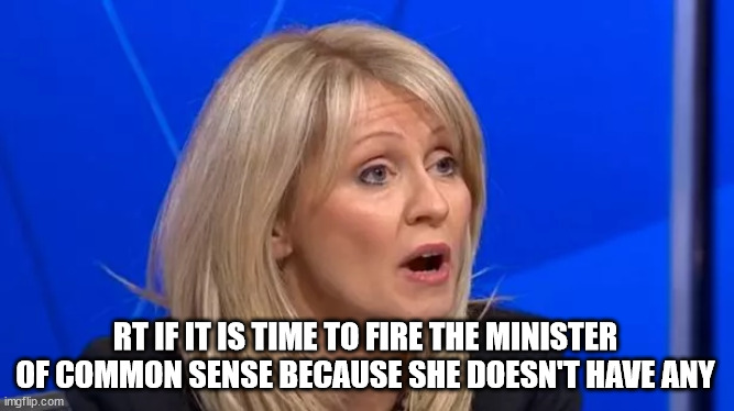 Esther McVey gets £31,680 for being Minister of Common Sense, for that she provides inane stupidity. Time to get rid.
