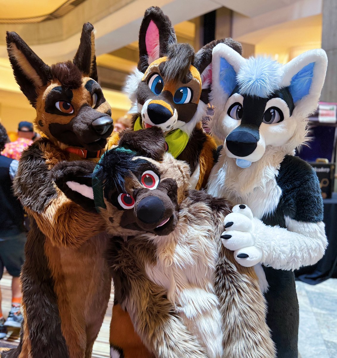 A couple of good dogs roaming around the #FWA24 lobby. Let’s give them treats. 🩷 @ShepDanellos @TheDizziest @TukioAWD @ElijahHusky #fursuit #fursuiting