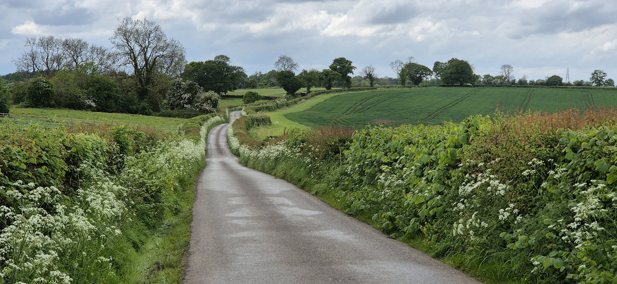 Up that lane.

#Derbyshire #tuesdayvibe