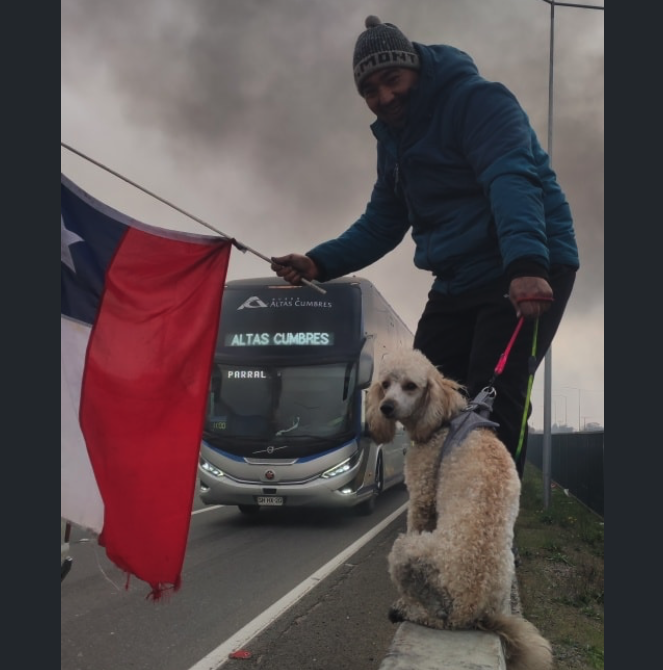 Gorderizador's tweet photo. Camionero junto a su mascota se manifiestan por crisis de seguridad nacional en #Linares, Ruta 5 sur: “Tammy me acompaña para todos lados”

#ElParodeChile #ParoNacional #ParoDeCamioneros https://t.co/AUaAW6SuVt