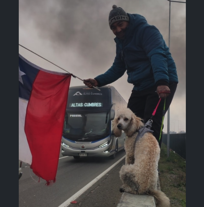 Camionero junto a su mascota se manifiestan por crisis de seguridad nacional en #Linares, Ruta 5 sur: “Tammy me acompaña para todos lados”

#ElParodeChile #ParoNacional #ParoDeCamioneros