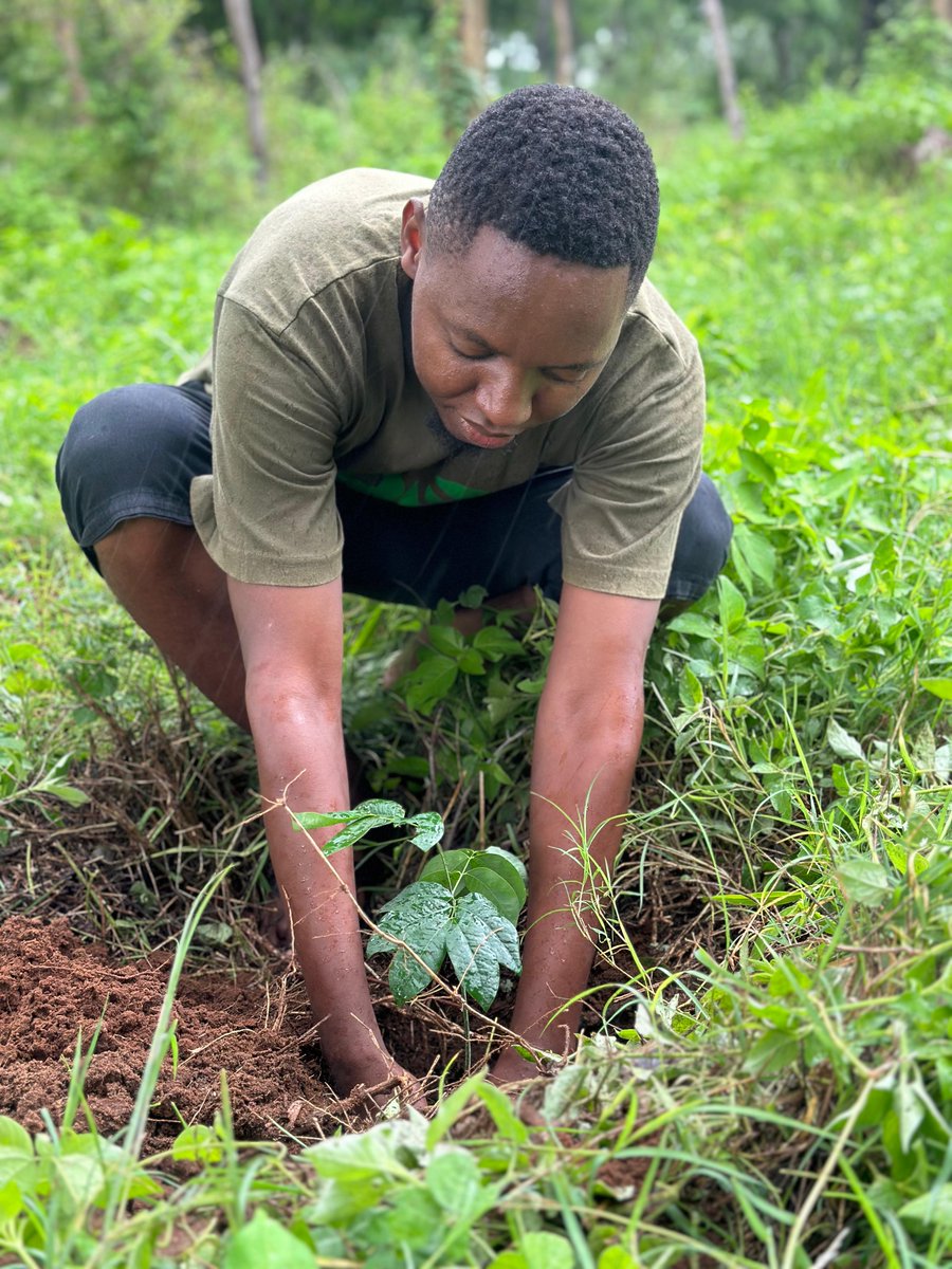 For the love of Nature

#ClimateActionNow
#GenerationRestoration