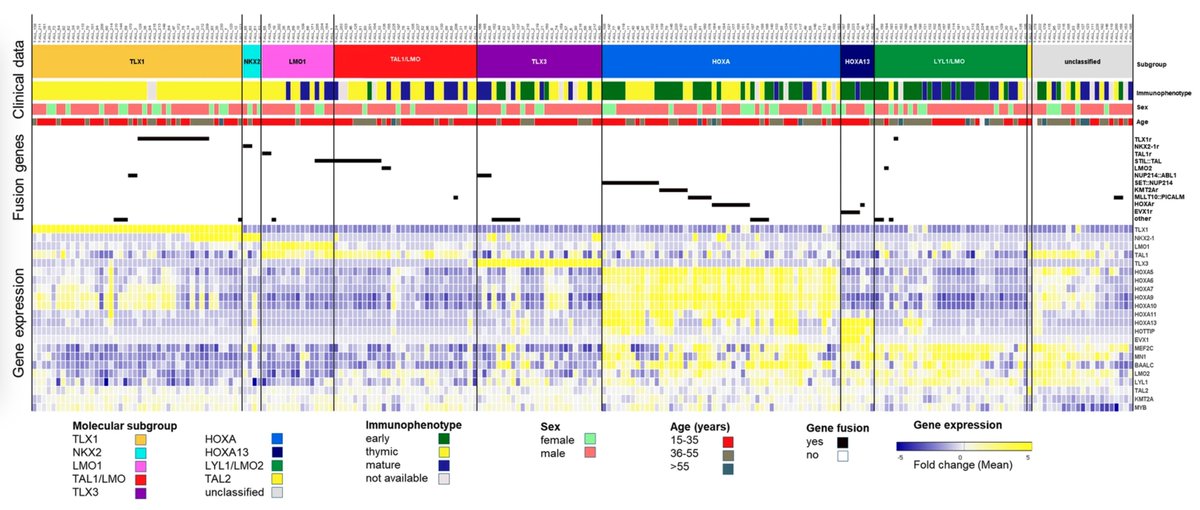 Our manuscript on molecular subtypes in adult T-ALL is out in @LeukemiaJnl ! Gene expression based subtypes have distinct outcomes in #GMALL patients. Congrats to Martin Neumann, Claudia Baldus and our team @UKSH_KI_HL and @kieluni ! (rdcu.be/dHWa8)