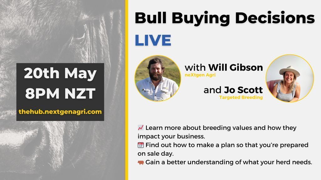 Join us LIVE: buff.ly/3JSemPk 
We are hosting a live session on The Hub about buying bulls with Mark Ferguson, Will Gibson and Jo Scott from Targeted Breeding. Don't miss the opportunity to quiz three industry experts before making your next bull-buying decision.