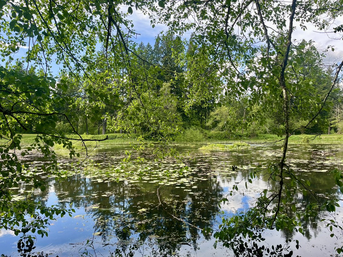 thayerfamfound's tweet photo. We're inspired and excited for our new projects.  Thank you @SkamaniaLodge for hosting our foundation board retreat! 

#thayerfamilyfoundation #makingadifference https://t.co/3FtePcwSAA