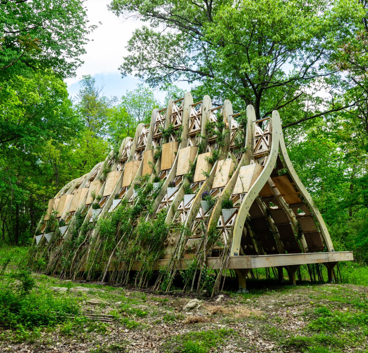 Mitchell Joachim (@mitchelljoachim) on Twitter photo Fab Tree Hab is Growing! It’s a living material structure for flora and fauna  #terrefom <a href="/Terreform/">Terreform</a> Fab Tree Hab is Growing! It’s a living material structure for flora and fauna  #terrefom <a href="/Terreform/">Terreform</a>