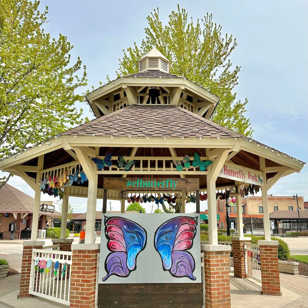 clearly_cl's tweet photo. Make sure to stop by Depot Park in Crystal Lake to see all of the amazing painted flowers and butterflies you all created up on the gazebo!!🌷🦋 https://t.co/nuRMbXAqHL