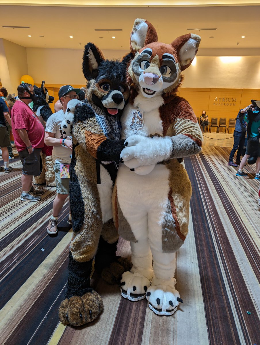 I loved this pic of @Ghimno and I 🤩 #FWA #FWA24 #Fursuit #furryfandom