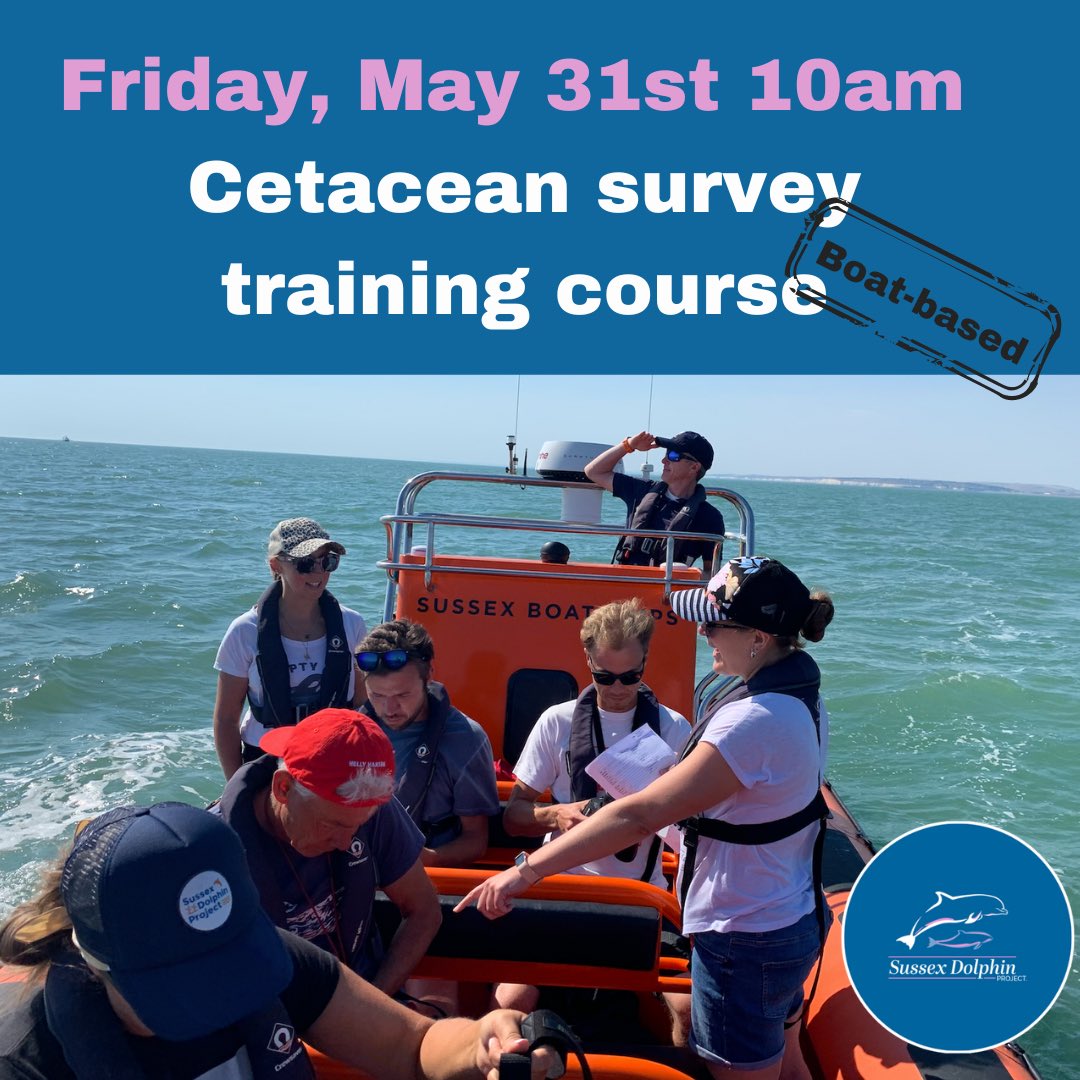 Our #Cetacean Survey #training courses (boat-based) are back 🌊🚤 The first course will run at 10am on Friday, May 31st in #newhaven This is a one-day course to learn how to research #whales #dolphins #porpoises on the water! 🐋🌊🐬 Details sussexdolphinproject.org/home-page/even… #Brighton