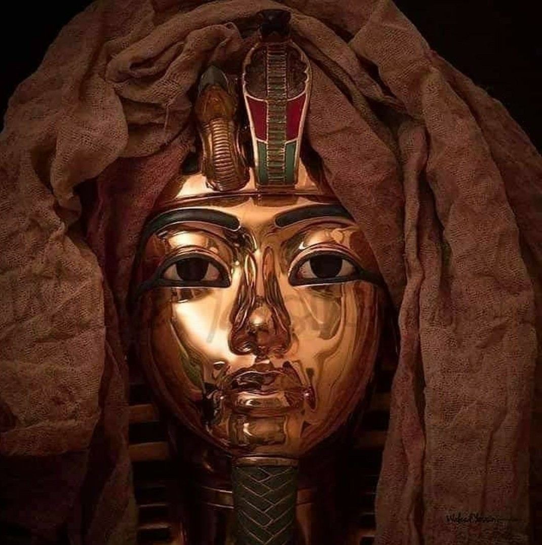 Tutankhamen's familial DNA tells 'Tale of Boy Pharaoh's Disease and Incest' - In a groundbreaking revelation that upends our understanding of ancient royalty, recent DNA tests conducted on Tutankhamun, Egypt's famed Boy King, have unearthed a startling secret: incestuous…