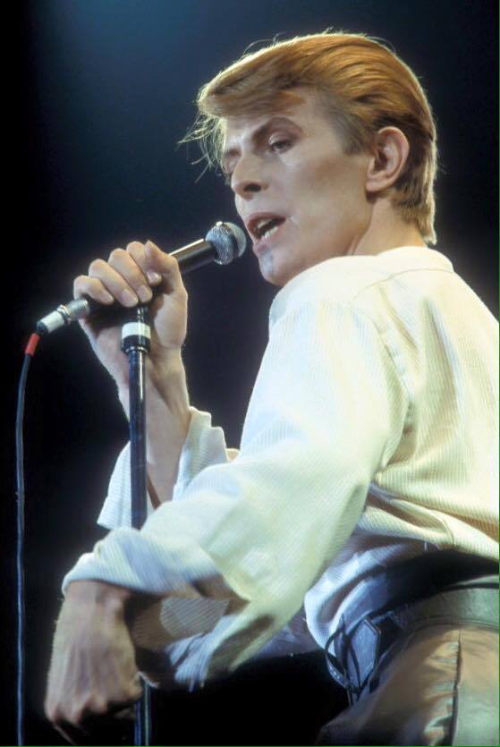 #DavidBowie - 1978