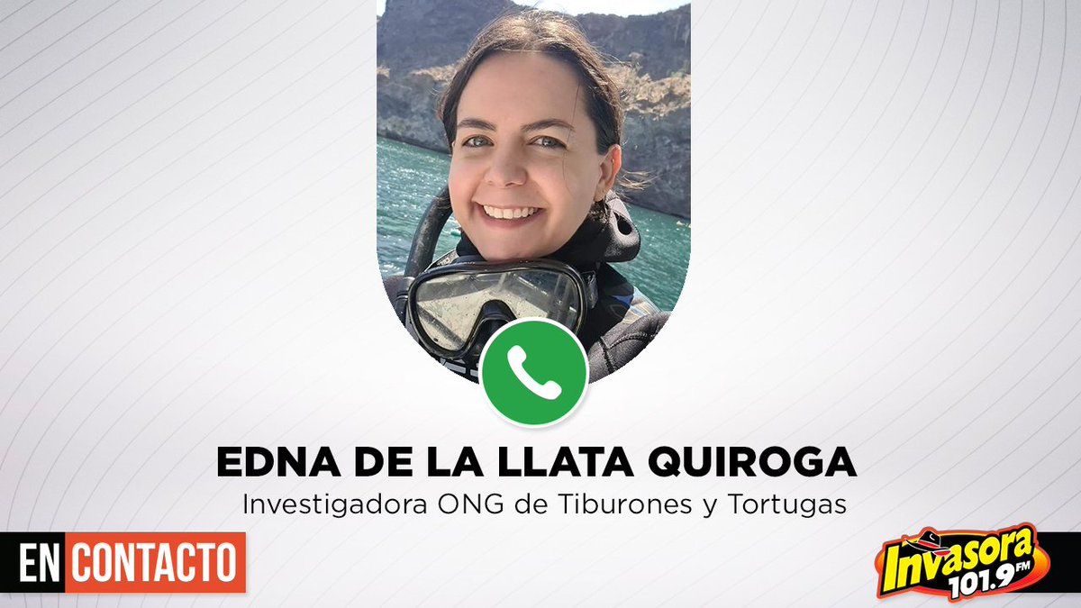#EnContacto | 🦈 La experta en tiburones, <a href="/eallq/">Edna De la Llata</a>, nos habla del avistamiento de una #TiburónBallena en las playas de #BahíaDeKino.

Escúchala con <a href="/Karina_BarrazaV/">Karina Barraza</a> | lc.cx/rKz-fO 📻🌻