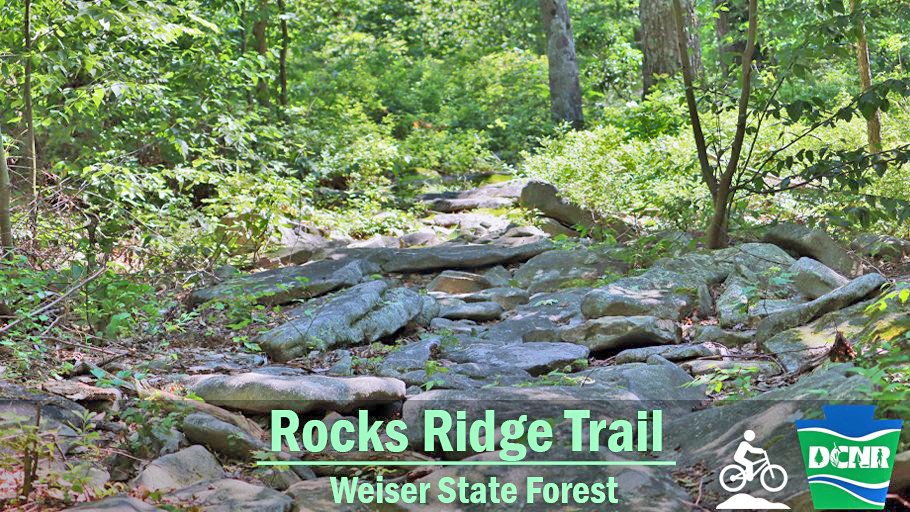The Rocks Ridge Trail at #WeiserStateForest is a rocky, technical trail with opportunities to see wildlife. A challenge for mountain bikers, the geology of the area keeps the terrain changing! Learn more ➡ bit.ly/3eSxRoR. #TrailTuesday #BikeMonth #PaStateForests