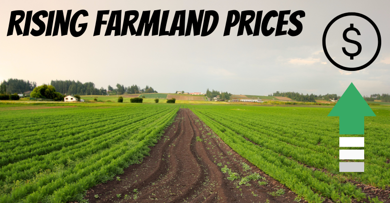 OntAg's tweet photo. Which region in Ontario has the most expensive #farmland?

A recent survey on prices and rental costs conducted by the @uofg shows interesting results...

Find out the top 10 counties by median price paid for farmland ⤵️

#OntAg