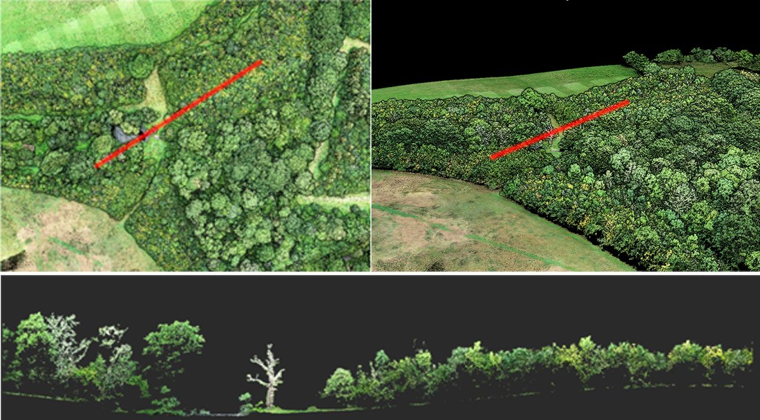 Julia Koricheva (@korichevalab) on Twitter photo New blog by <a href="/thi_sanna/">Thiago Silva 💻(🍃↔️🌳↔️🌎)</a> about use of LiDAR technology to understand woodland ecology wren-project.com/tree-planat-bl….
If you are interested in this topic, register for the free @natcolonisation webinar this Friday (May 17th): events.teams.microsoft.com/event/ef48d392… New blog by <a href="/thi_sanna/">Thiago Silva 💻(🍃↔️🌳↔️🌎)</a> about use of LiDAR technology to understand woodland ecology wren-project.com/tree-planat-bl….
If you are interested in this topic, register for the free @natcolonisation webinar this Friday (May 17th): events.teams.microsoft.com/event/ef48d392…