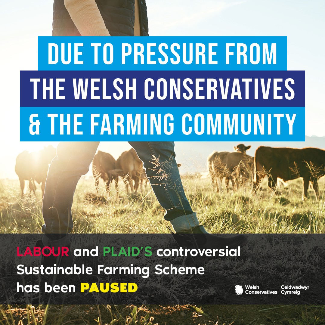 💪 Thanks to pressure from the farming community and the Welsh Conservatives the SFS has been paused. 🥀 Labour finally appear to be listening to the Welsh Conservatives and the farming community. 🚜 What we need to see now is real change to SFS in its current form.