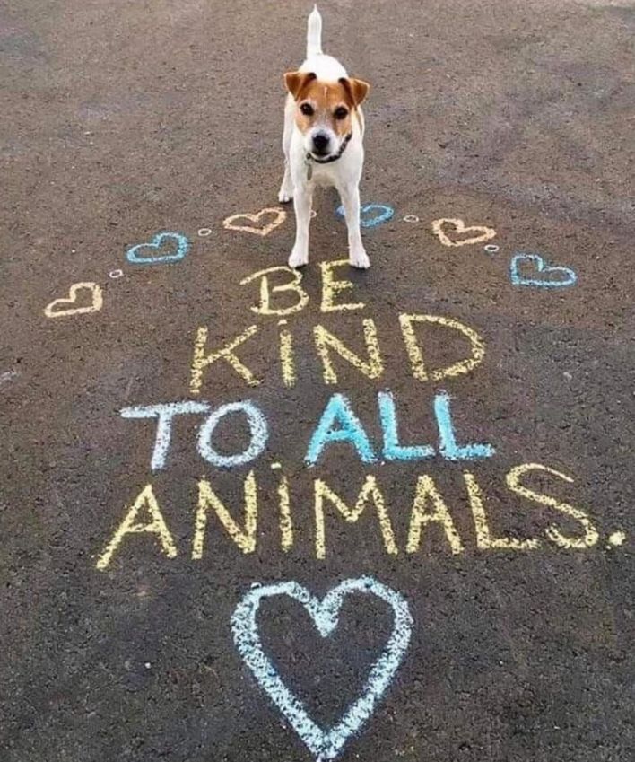 Pawzazzle's tweet photo. So TRUE. https://t.co/rRiqsppqDn