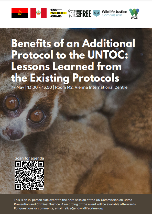 John E. Scanlon AO (@johnescanlon) on Twitter photo UN Crime Commission is meeting in Vienna. Join us for a deep dive into the benefits of the 3 existing #UNTOC Protocols - on trafficking in persons, smuggling of migrants & firearms trafficking - & what lessons they hold for potential new Protocols #endwildlifecrime <a href="/ADMCapFound/">ADM Capital Foundation</a> UN Crime Commission is meeting in Vienna. Join us for a deep dive into the benefits of the 3 existing #UNTOC Protocols - on trafficking in persons, smuggling of migrants & firearms trafficking - & what lessons they hold for potential new Protocols #endwildlifecrime <a href="/ADMCapFound/">ADM Capital Foundation</a>