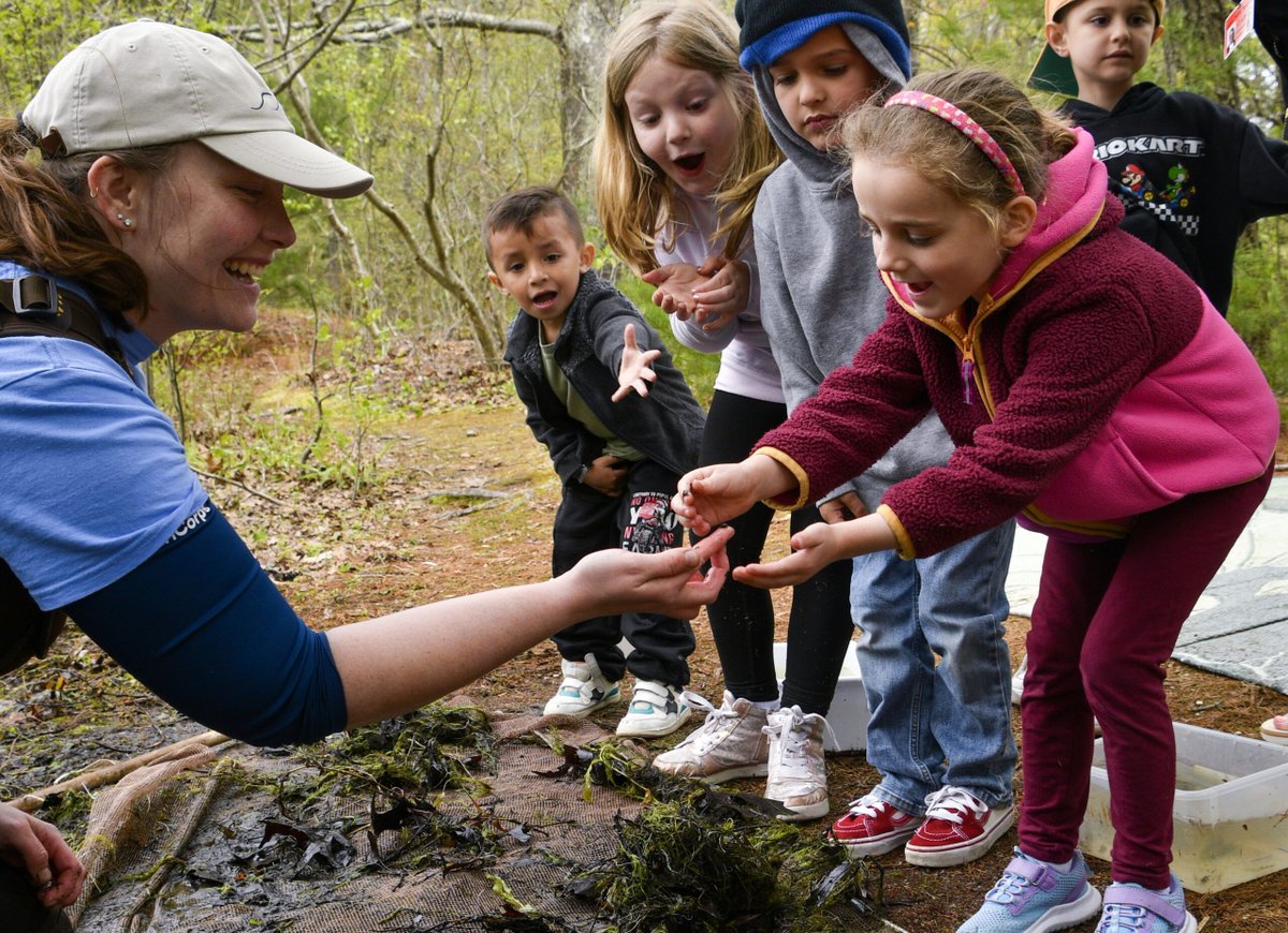CAPSS welcomes <a href="/NESSfoundation/">New England Science & Sailing</a> back as business partner. Please visit nessf.org for more information.
