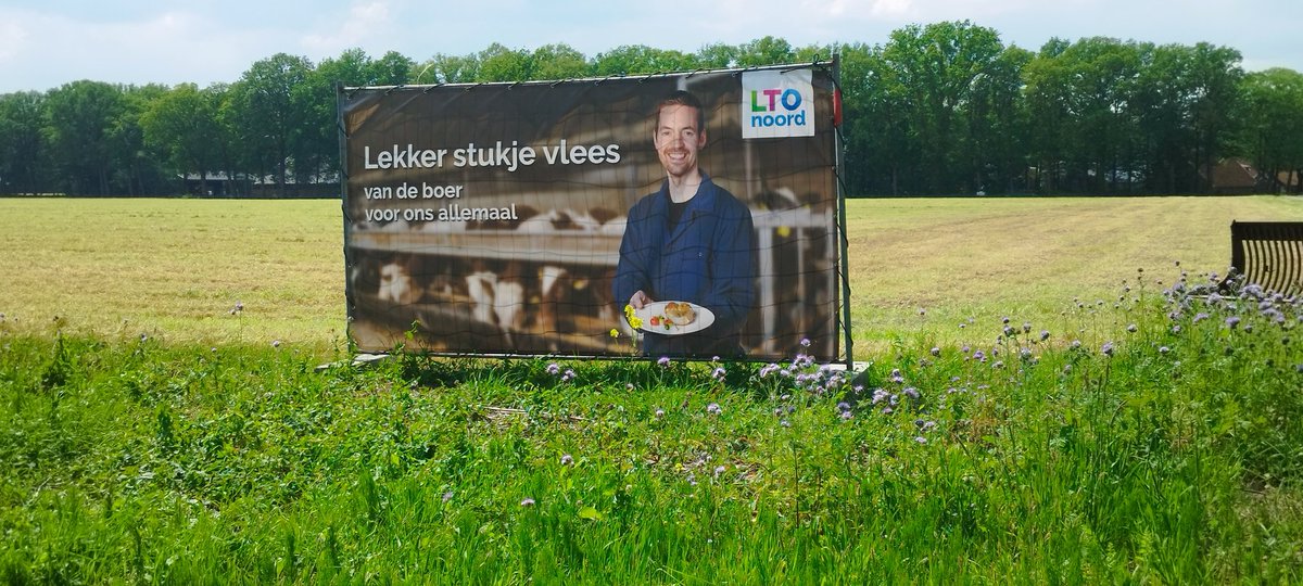 #ltonoord #vooronsallemaal