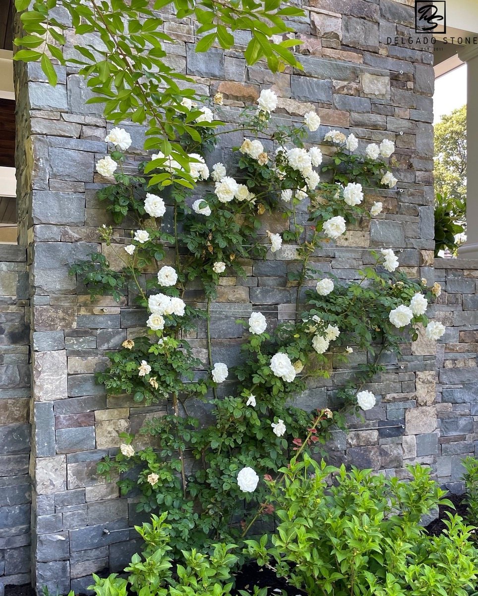 delgadostoneusa's tweet photo. Love this. Fieldstone Dark, a #Pennsylvania fieldstone, on the exterior of this home with the #flowers in full bloom. 
#usenaturalstone #fieldstone #homerenovation https://t.co/UDlQEv2emz