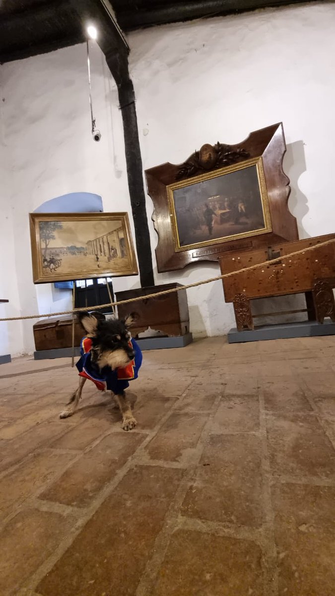 Radio Nacional AM tweet media