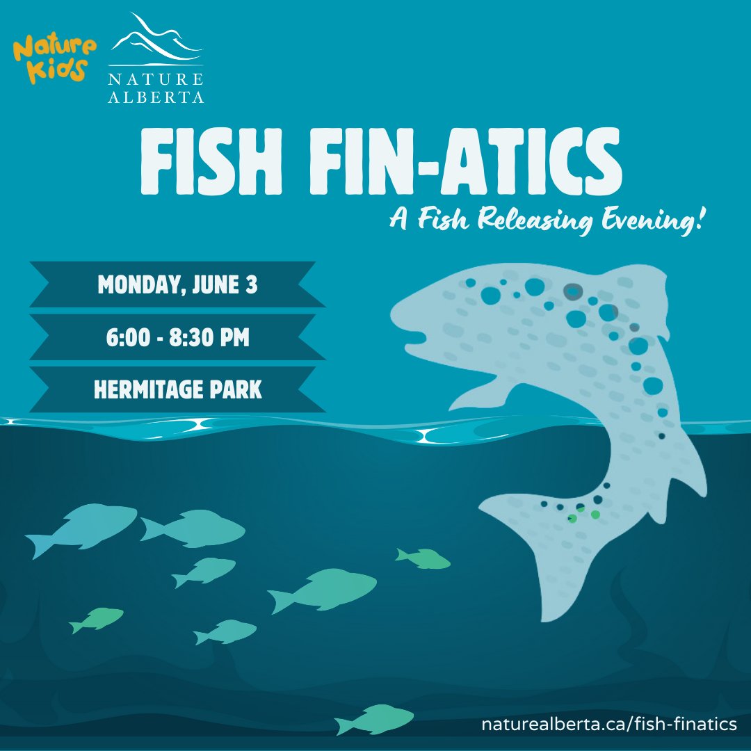 Dive into Nature Alberta's Newest Event - A Fish Release Evening! The event will kick off with a fin-tastic presentation, shedding light on the fascinating world of fish and their habitats. After which you will get to hold these fish in your hand! naturealberta.ca/fish-finatics